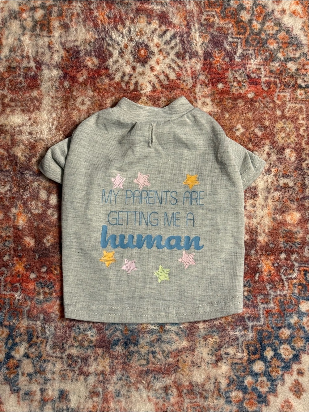 Buttons & Bones “My Parents Are Getting Me a Human” Dog Shirt Size Small